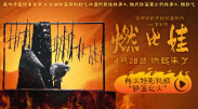 屁股又大又圆肥臀岳